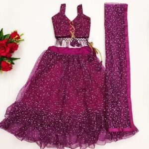 Glitter Net Lehenga Choli Set